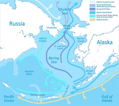 Biologically Important Areas II for cetaceans within U.S. and adjacent waters – Aleutian Islands and Bering Sea Region